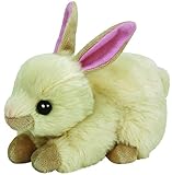 CREAMPUFF - Cream rabbit reg