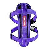 EzyDog Chest Plate Custom Fit Dog Harness (Medium, Purple)
