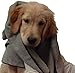 Microfiber Pros Dog Towels – Pack of 2 in Large 20