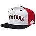 NBA Toronto Raptors Men's Team Nation Snapback Cap, White, One Size