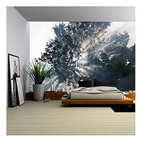 Fog - Removable Wall Mural | Self-Adhesive Large Wallpaper - 66x96 inches