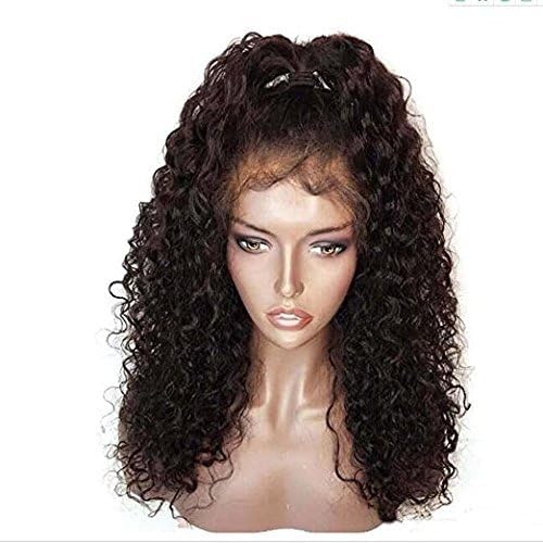 Long Kinky Curly Synthetic Lace Front Wigs With Baby Brown Loose Curly Natural Brown Wig For Black Women 26 Inch