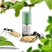 Hair Removal Serum Ant Egg Oil Permanent 50ml