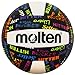 Molten Volleyball Positions Recreational Volleyball, Black/Neon Colors, Official, MS500-VBP