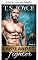 Livro Fastlander lutador (Fastlanders Livro 4)