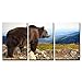 wall26 - 3 Piece Canvas Wall Art - Big Brown Bear (Ursus Arctos) in The Mountain - Modern Home Art Stretched and Framed Ready to Hang - 16