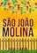 Livro São João Molina: Conto (Família Molina Livro 10)