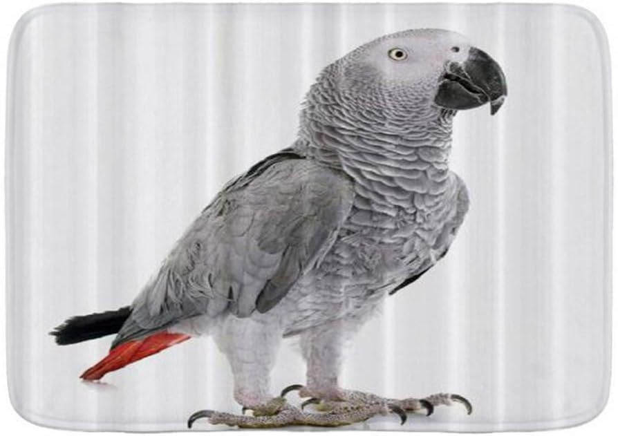 african grey plush