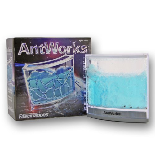 Ant Works Space Age Ant Farm Buy Online In Guernsey At Desertcart