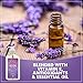 Earth Friendly Products Hand Soap, Lavender, 17 Ounce Bottle