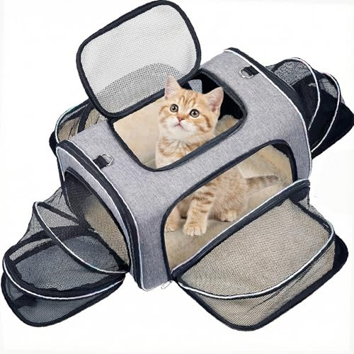 Airline Approved Expandable 4-Sided Cat Carrier Bag for Cats & Small Dogs, Car/Plane/Train, Folding, Removable Soft Cushion, 45 x 28 x 28 cm, Secure