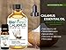 BioFinest Calamus Oil - 100% Pure Calamus Essential Oil - Aid Indigestion, Stomach Pain & Cramps - Premium Quality - Therapeutic Grade - Best For Aromatherapy - FREE E-Book (10ml)