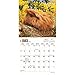 Guinea Pigs 2017 Small Wall Calendar