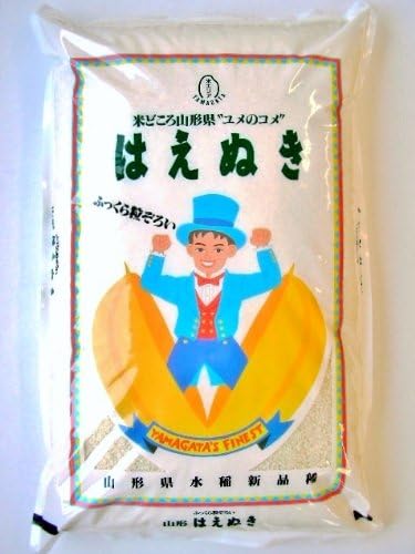 Amazon 令和２年産 山形県産 はえぬき 精米 10ｋｇ 山形米の丹野商店 白米 胚芽米 通販