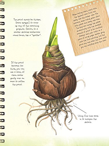 image for Walter Foster Publishing The Art of Botanical & Bird Illustration: an 