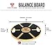 Fury Fitness Balance Board for Active Men & Women, Wobble Balancing Boards for Abs Exercise Equipment, Weight Loss, to Burn Calories, Improve Posture, Physical Therapy & Build Strong Core!