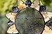 Evergreen Garden Sunflower Metal and Glass Hanging Mesh Bird Feeder - 12.5”W x 3