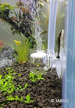 jardli co2 regulator