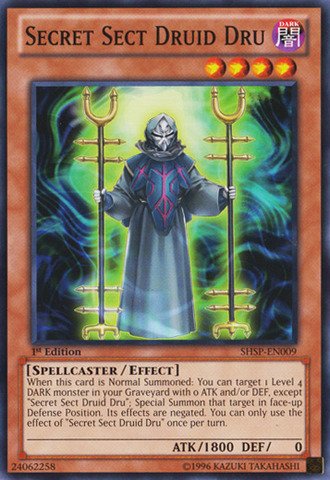 Yu-Gi-Oh! - Secret Sect Druid Dru (SHSP-EN009) - Shadow Specters - Unlimited Edition - Common