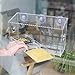 Gardens Clear Window Bird Feeder,Bird Feeder