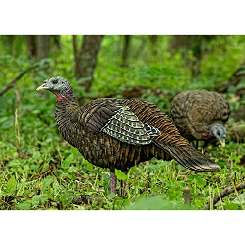 AVIANX LCD Breeder Hen Turkey Decoy Durable Realistic Lifelike