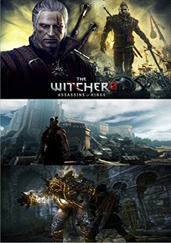 The Witcher 2: Assassins of Kings - Game Guide