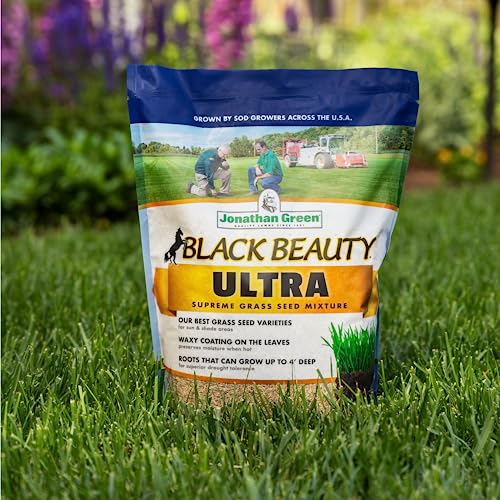 Jonathan Green (10320) Black Beauty Ultra Grass Seed Cool Season Lawn