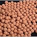 Slingshot Ammo About 1200 PCS, More Harder Professional Fired Slingshot Ammo Ball 7/20