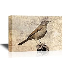 Birds and Poultry Canvas Wall Art - Bird Standing on a Small Rock - Gallery Wrap Modern Home Art | Ready to Hang - 12x18 inches