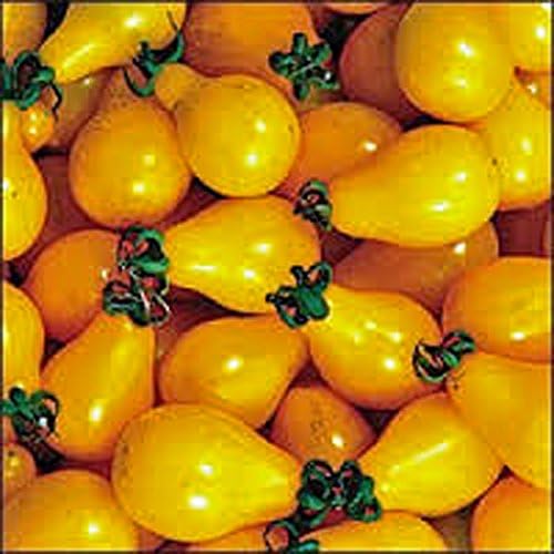 Tomato,Yellow PEAR Tomato Seed