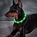 BSEEN Light Up Dog Collars - Silicone LED Dog Collar, Cuttable Lighted Puppy Collar, Glowing Dog Walking Lights for Small Medium Large Collars (Green)