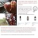 RaxCollection - Shoe Trees for Men and Women, Cedar Wood (#US-CST42)
