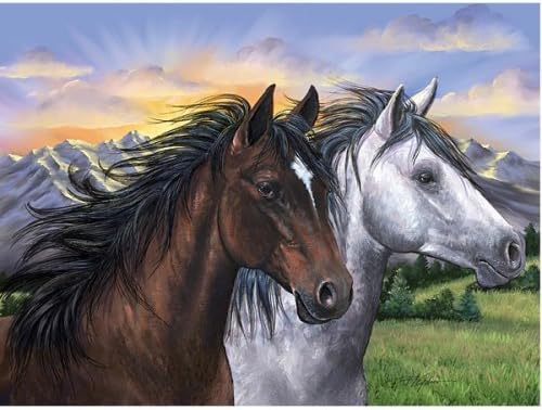 FX Schmidt Spirit of the Wind Puzzle 1000 Pc by FX Schmid