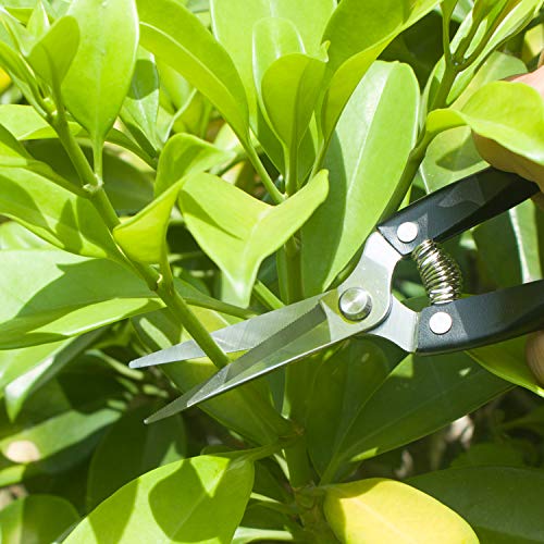 Pruning Shears Straight Tip Pruning Trimming Scissors Florist Scissors-Stainless Steel Ultra Sharp Multi-Purpose Hand Pruner Scissors for Garden Harvesting Fruits Vegetables, Trimming Flowers,Black