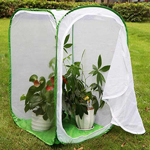 RESTCLOUD 36" Large Monarch Butterfly Habitat, Giant Collapsible Insect