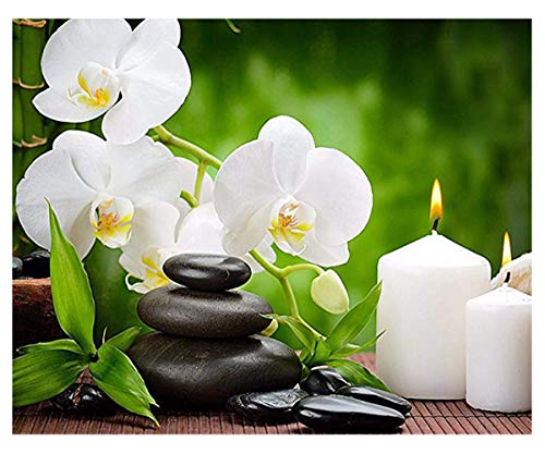 400 magic DIY 5D Diamond Painting by Number Kit for Adult, Full Drill Diamond Embroidery Dotz Kit Home Wall Decor - 13.65x17.55inches