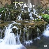 Virginia Wild & Scenic 2020 12 x 12 Inch Monthly Square Wall Calendar, USA United States of America Southeast State Nature by 