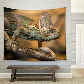 Chameleon - Fabric Wall Tapestry Home Decor - 51x60 inches