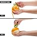 PELEG DESIGN Zesty Chameleon-Shaped 2-in-1 Citrus Zester and Peeler for Decorating Cocktails Cooking and Peeling Fruit, Green
