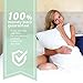 Camden Hill Memory Foam Tencel Pillow (Queen)