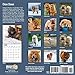 Chow Chow 2019 16 Month Wall Calendar 12 x 12 Inches