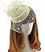 Fascinators Hair Clip Headband Pillbox Hat Bowler Feather Flower Veil Wedding Party Hat, Beige, One Size