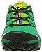 Salomon Men's Speedcross Vario-M Trail Runner, Real Green/Granny Green/Black, 10 D US