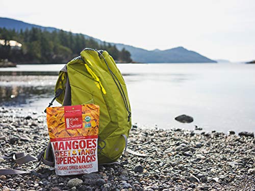 2 Made+Nature+Organic+Dried+Mangoes