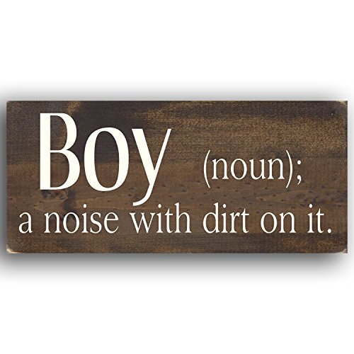 Sign - Boy (Noun); a Noise with Dirt on It.