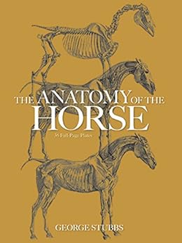 The Anatomy Of The Horse Dover Anatomy For Artists