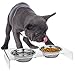 REGIROCK Contempo Creatures Cat and Dog Bowls | Easy to Clean Acrylic Stand Helps with Messy Pets