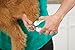 Andis 65700 Animal Nail Cutter for Small Breeds - Stainless Steel Blades with Sharp Efficiency - Designed for Repeated Use & Recommended by Pet Trainers – Medium Size & White/Green