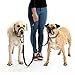 HALTI Training Leash - Multifunctional Double-Ended Dog Leash, Ideal for Anti-Pulling Dog Training. Easy to Use, Lightweight & Durable. Suitable for Medium to Large Dogs & Puppies (Size Large, Red)