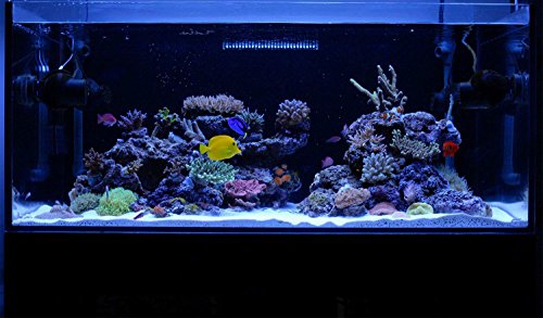 Zeiger Eco LED Aquarium Light 5-6 Feet 150cm-170cm Tank Saltwater and Freshwater LED Tank 60 inch - 72 inch lamp 36W A116